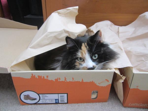 /Images/uploads/Humane Society of Utah/HSUCalendar/entries/934thumb.jpg